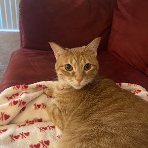 Fundraising Page: Vera PAC AlumGilliam